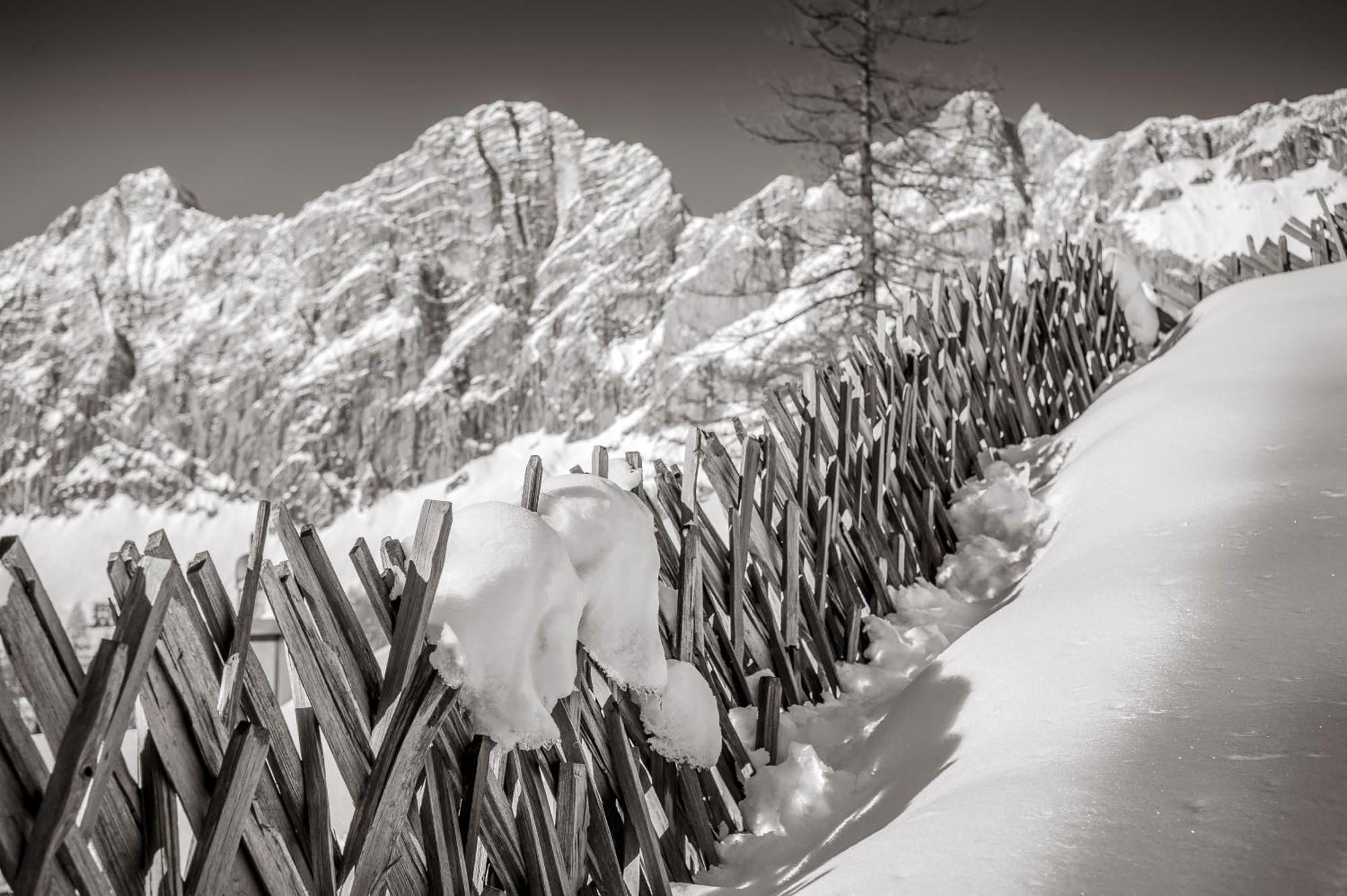 Naturchalet Hoeflehner - Heimgefuehl & Ruhelage An Loipe & Wanderweg Ramsau am Dachstein Esterno foto